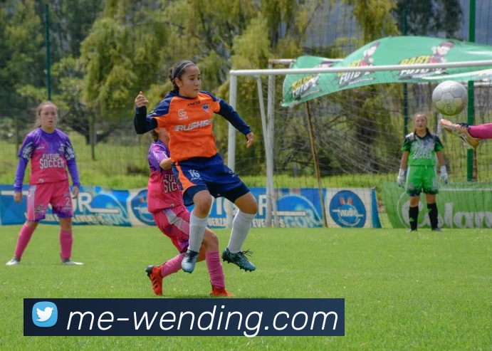 问鼎娱乐官网品牌故事